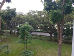Blk 124 Simei Street 1 (Tampines), HDB 5 Rooms #159116872